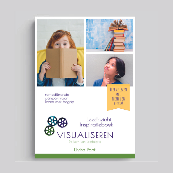 LeesInzicht Inspiratieboek Visualiseren